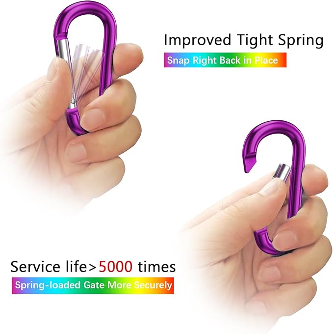sprookber 3" Aluminum Carabiner D Ring, Caribeener Clips, Spring Snap Hook for Keychain Clip, Set of 10