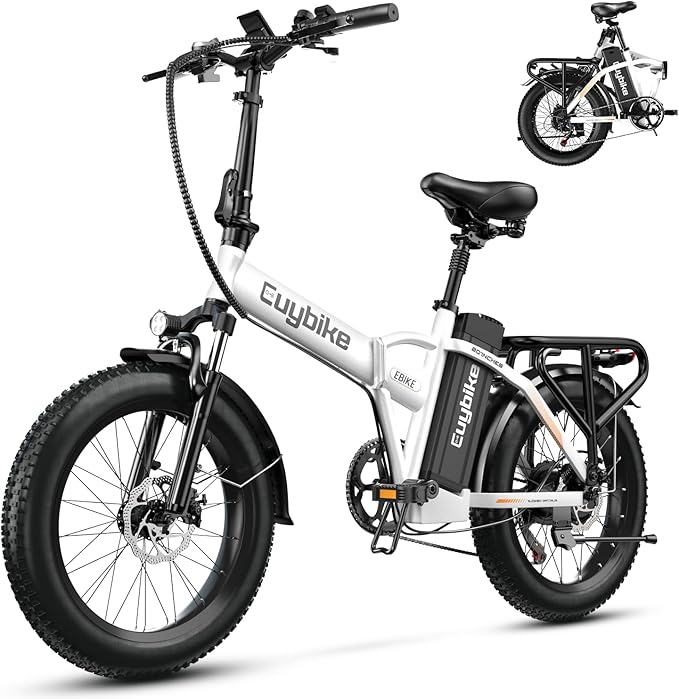 1000W Folding Electric Bike, 48V 20AH Large Removable Battery E Bike, 30+MPH, 80 Miles Max Range, 20" Fat Tire Electric Bike for Adults, Adult Electric Bicycles for Commute Beach Snow