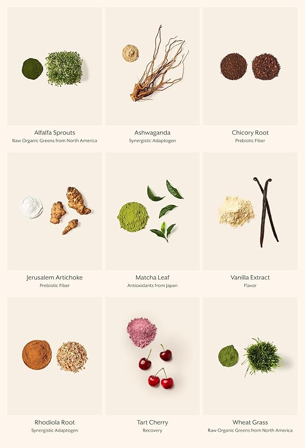 ProMix Nutrition Raw Greens Superfood Blend - Sprouted Alfalfa, Wheatgrass, Ashwagandha, & Rhodiola - 30 Servings