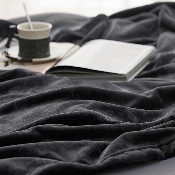 Bedsure Fleece Blanket Twin Size Dark Grey - 300GSM Lightweight Plush Fuzzy Cozy Soft Warm Blanket for Bed, Sofa, Couch, Travel, Camping, 60x80 inches