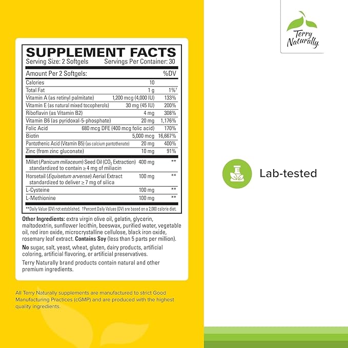 Terry Naturally Hair Renew Formula - Healthy Hair Growth Supplement with Biotin B Vitamins & Zinc - Millet Seed Oil for Keratin Production Support & Stronger, More Radiant Strands - 60 Softgels