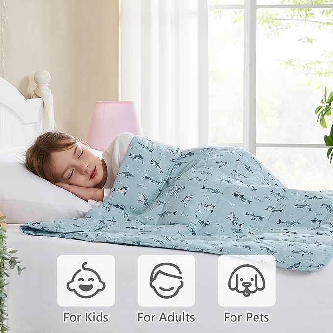 L'AGRATY Weighted Blanket - 36"x48" 5lbs Weighted Blanket Microfiber Material with Glass Beads Small Blanket for All-Season Summer Fall Winter Soft Thick Blanket