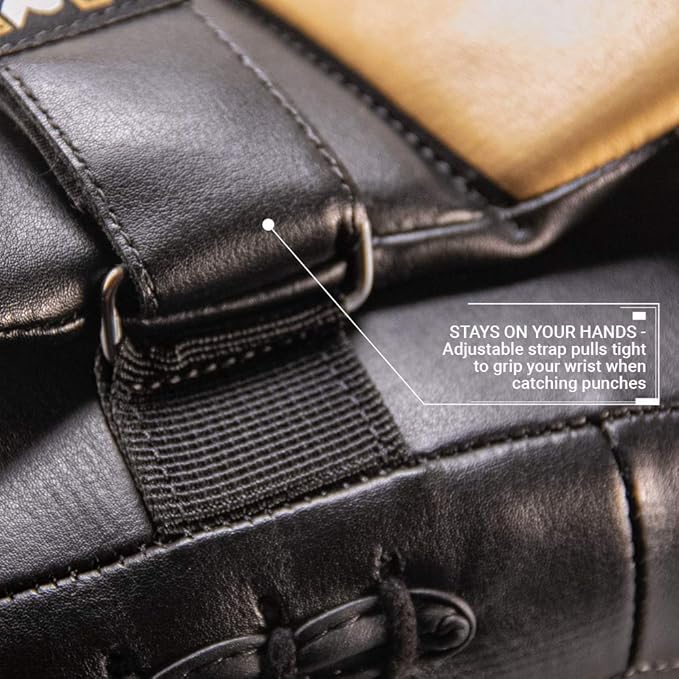 Revgear Phoenix Boxing Mitts and Pads Pair (All in One - Target & Glove) - Ideal Boxing Equipment for Men, Women, Kids - Perfect for MMA, Muay Thai, Kickboxing, Sparring, and Boxeo Training