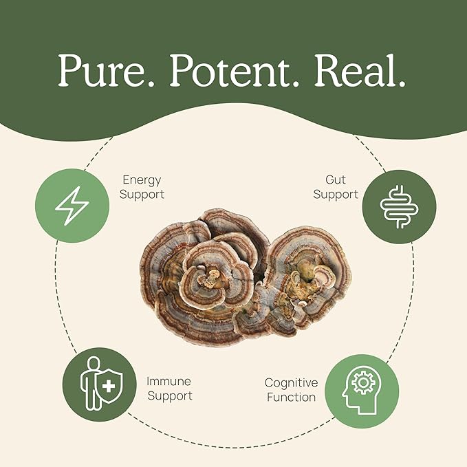 Real Mushrooms Turkey Tail Mushroom Powder – Organic Turkey Tail Extract from – for Wellness, Gut Harmony, & Energy Support – Vegan, Non-GMO, No Fillers – 100 Servings Functional Mushroom Supplement