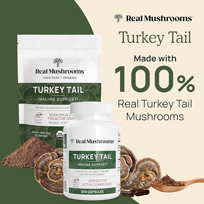 Real Mushrooms Turkey Tail Mushroom Powder – Organic Turkey Tail Extract from – for Wellness, Gut Harmony, & Energy Support – Vegan, Non-GMO, No Fillers – 100 Servings Functional Mushroom Supplement