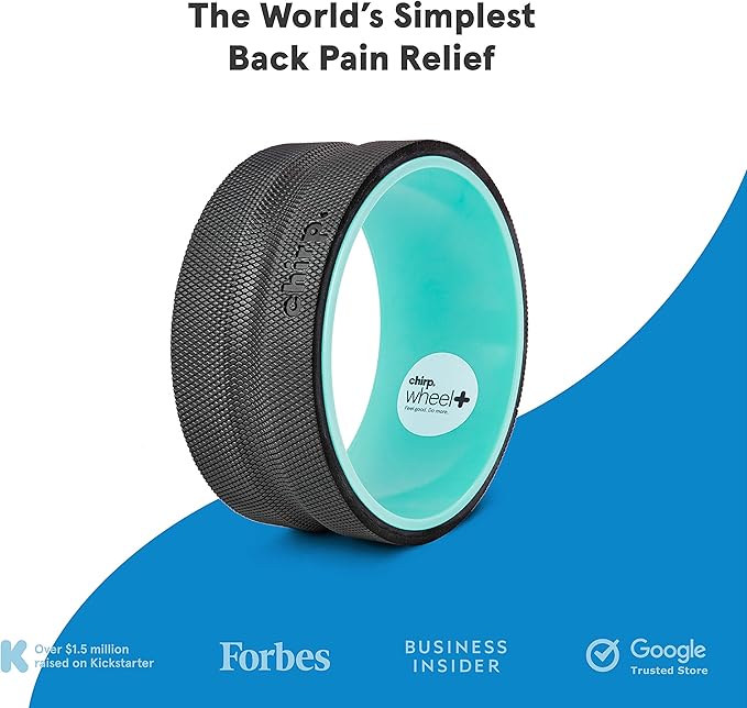 Chirp Wheel Foam Roller - Targeted Back & Neck Pain Relief, Muscle Massage, Trigger Point Therapy, High-Density Foam Tool for Physical Therapy, Stretching & Exercise, 500lbs Capacity, 10-Inch Mint