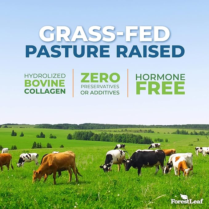 ForestLeaf Collagen Peptides Powder Unflavored - Hydrolyzed Grass Fed Keto Collagen Protein Powder Type 1, 2 & 3 - Vital Hair, Skin, Nails, Joints, Recovery, 11g Per Serving