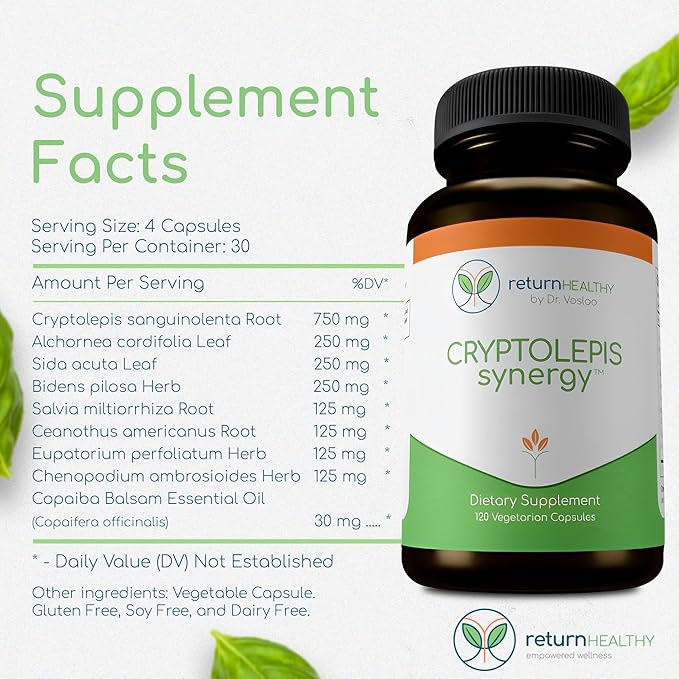 Cryptolepis Synergy, Immune Support Vitamins, Immune System Booster for Adults, Liver, Lymphatic, & Immune Support Supplement, Supports Lyme & Natural Parasite Defense, 120 Capsules