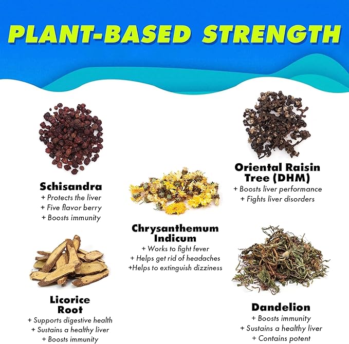 The Plug Liver Cleanse Detox & Repair Drink - Plant Based Herbal Electrolyte Drink for Liver Support & Health, Bloating Relief, Restore Antioxidants & Minerals | Liver Complex Energy Drink (6-Pack)