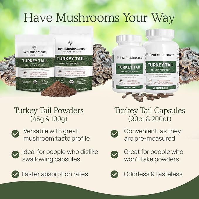 Real Mushrooms Turkey Tail Mushroom Powder – Organic Mushroom Extract for Daily Wellness Gut Harmony, & Energy Support with Beta Glucans – Vegan, Non-GMO, 45 Servings Functional Supplement