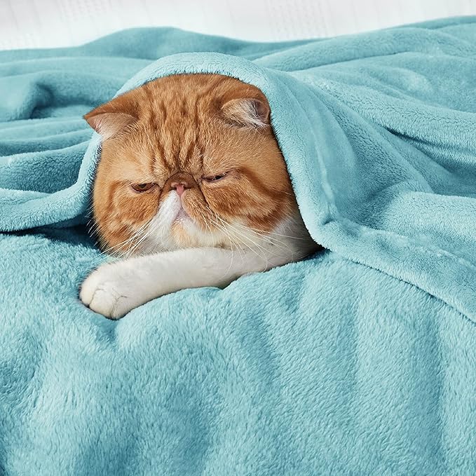 Bedsure Fleece King Size Blankets for Bed River Blue - Soft Lightweight Plush Cozy Fuzzy Luxury Microfiber, 108x90 inches