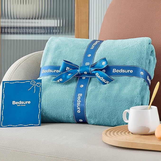 Bedsure Fleece Bed Blankets Queen Size River Blue - Soft Lightweight Plush Fuzzy Cozy Luxury Blanket Microfiber, 90x90 inches