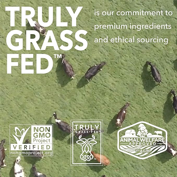 ICONIC Protein Powder, Chocolate Truffle - Sugar Free, Low Carb Protein Powder - Lactose Free, Gluten Free, Non-GMO - 20g Grass Fed Whey & Casein Protein - Keto Friendly, 1 lb. Pouch (17 Servings)