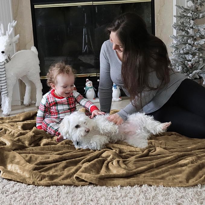 Bedsure Fleece Throw Blanket Camel - 300GSM Blankets for Couch, Sofa, Bed, Soft Lightweight Plush Cozy Throws for Toddlers, 50x60 inches