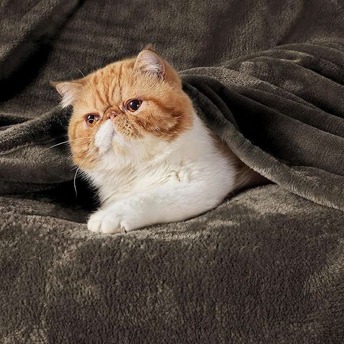 Bedsure Fleece Throw Blanket Brown - 300GSM Blankets for Couch, Sofa, Bed, Soft Lightweight Plush Cozy Throws for Toddlers, 50x60 inches