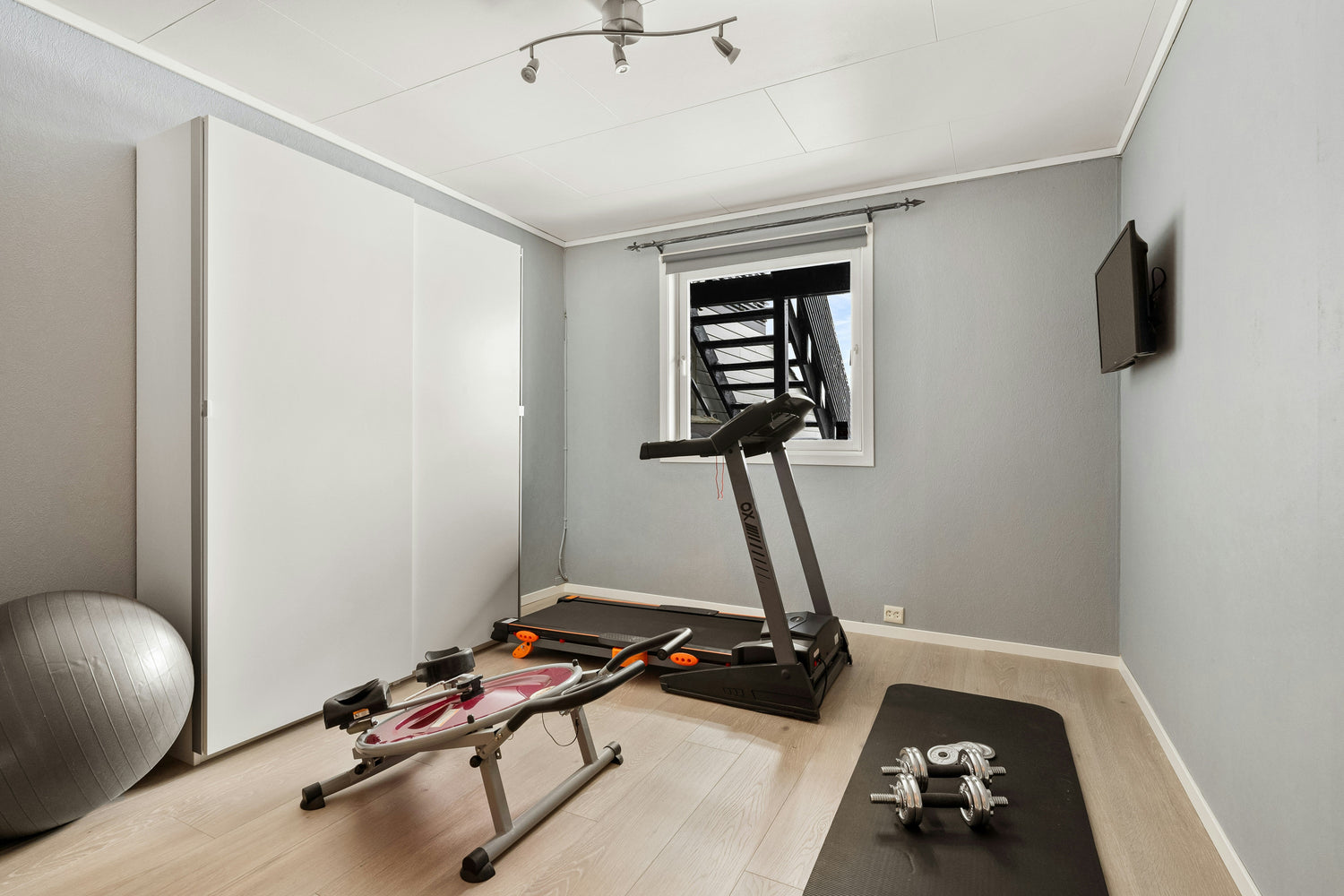 Home Gym Systems