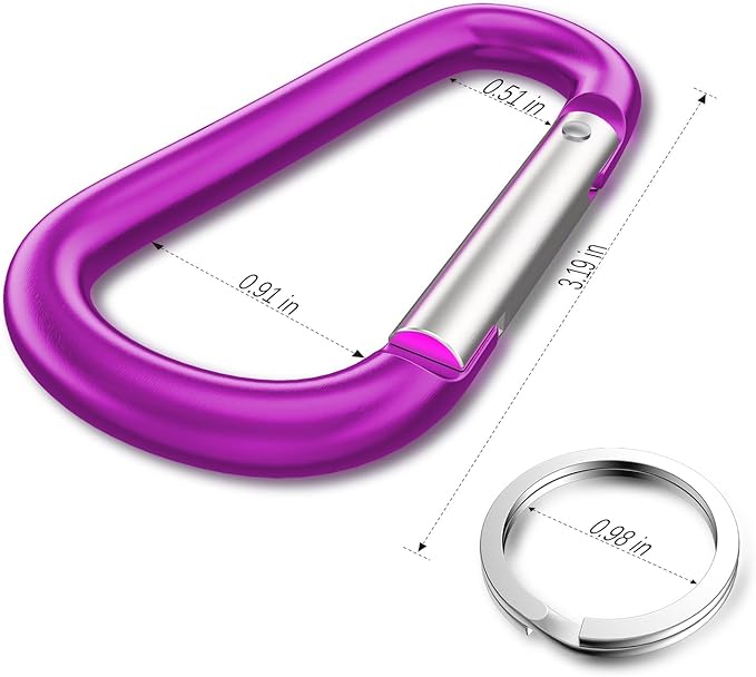 sprookber 3" Aluminum Carabiner D Ring, Caribeener Clips, Spring Snap Hook for Keychain Clip, Set of 10