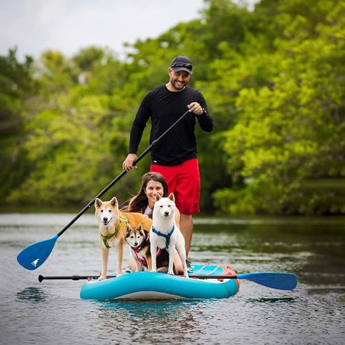 SUP Paddle - 3-Piece Adjustable Aluminium SUP Paddle with Glass Fiber Blade for Surfing, Floating, Water Sports