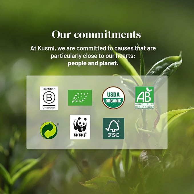 Kusmi Tea - BB Detox + Detox - Iconic Detox Tea - Organic Tea - Blend of Green Tea, Mate & Fruits - Organic Flavored Yerba Mate Tea - Pack of 2 Boxes of Tea Bags - 2x20 Tea Bags