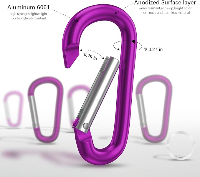 sprookber 3" Aluminum Carabiner D Ring, Caribeener Clips, Spring Snap Hook for Keychain Clip, Set of 10