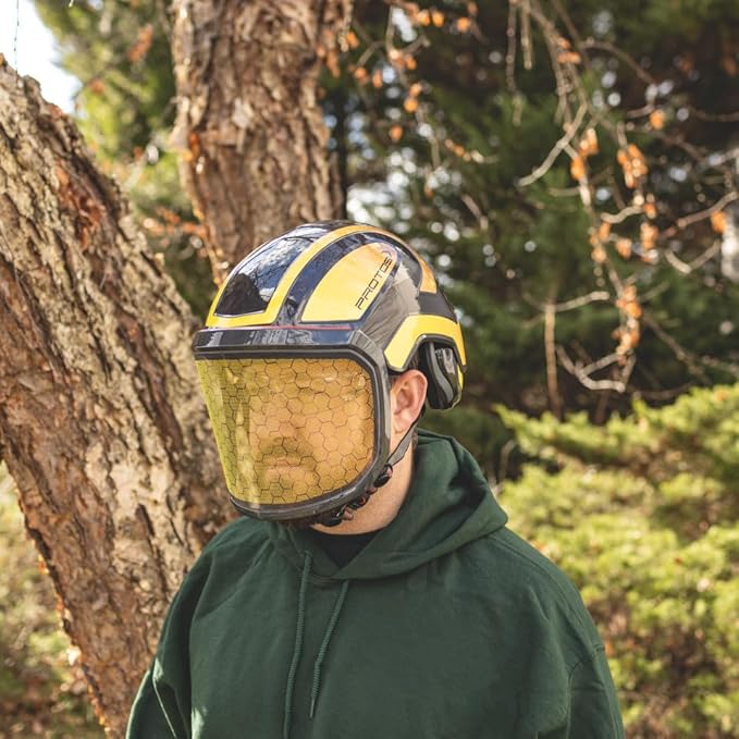 Protos Integral Arborist Helmet - The Beekeeper, Adult