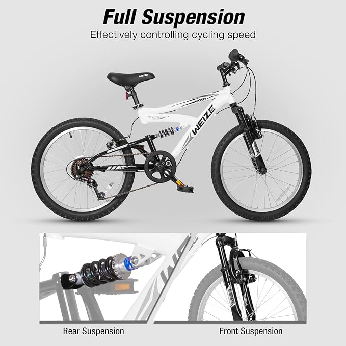 WEIZE Kids Mountain Bike, 20 inch Kids' Bicycles for 6-11 Years Old Boys Girls with Dual Full Suspension, 6 Speeds Drivetrain, High-Carbon Steel Frame, Ideal for Young Riders and Adventurers