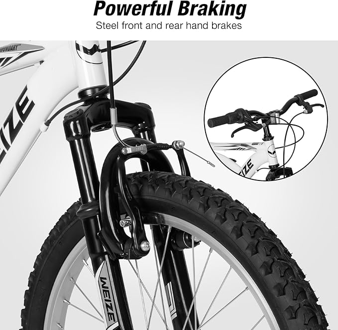 WEIZE Kids Mountain Bike, 20 inch Kids' Bicycles for 6-11 Years Old Boys Girls with Dual Full Suspension, 6 Speeds Drivetrain, High-Carbon Steel Frame, Ideal for Young Riders and Adventurers