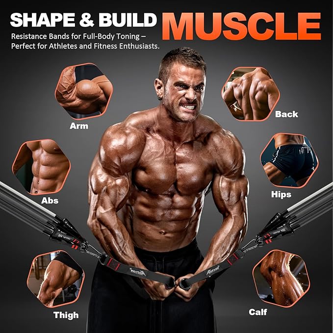 HPYGN Resistance Bands, Exercise Bands with Handles, Fitness Bands, Workout Bands with Door Anchor and Ankle Straps, for Heavy Resistance Training, Physical Therapy, Shape Body, Yoga, Home Workout Set