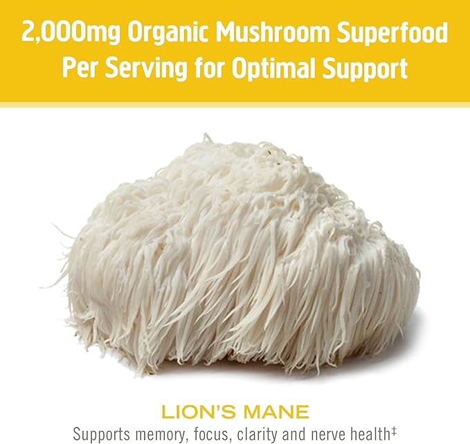 OM MUSHROOM SUPERFOOD Lion's Mane Organic Mushroom Powder, Improves Memory, Focus, Clarity, Nerve Health, and Mood Support, 7.05 oz, 100 Servings