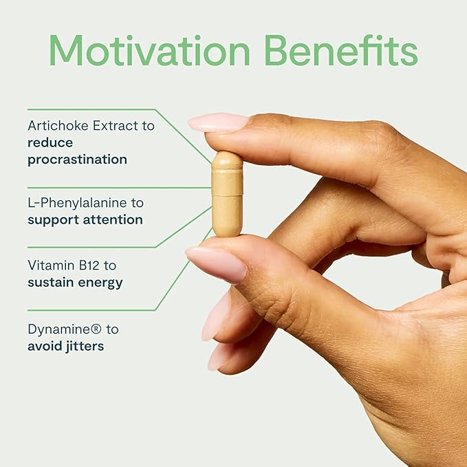 Thesis Motivation - Nootropic Brain Support Supplement - Promote Healthy Brain Energy, Focus & Beat Procrastination - Artichoke Extract, Dynamine & More - 1 Month Supply (24 Servings)