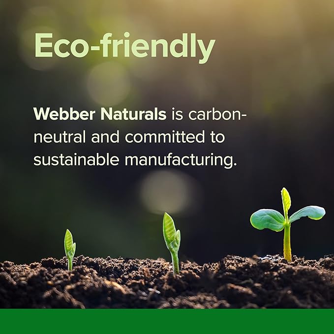 Webber Naturals Apple Cider Vinegar Capsules with The Mother, 1500 mg per Serving, High Potency, 240 Capsules, Natural Digestion Support, Sugar, Dairy & Gluten Free