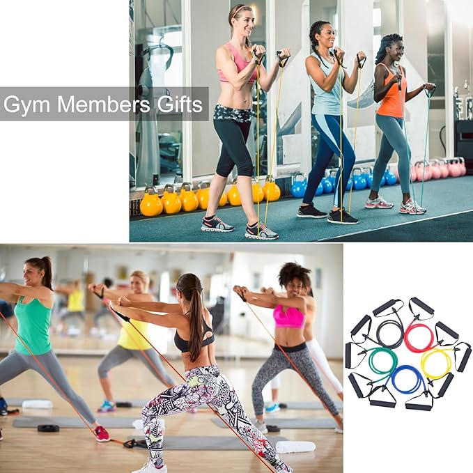 15 Pcs Resistance Bands with Handles for Home Workouts, Exercise Bands Set for Physical Therapy, Strength Training & Fitness for Women and Men