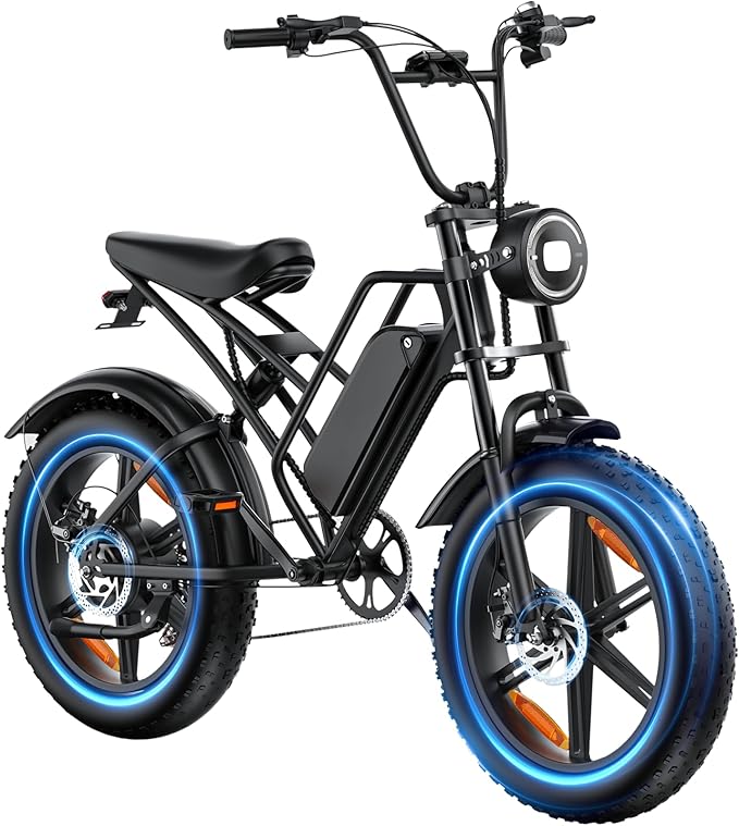E500 Electric Bike for Adults 1000W Peak Motor, 20" Fat Tire Dirt E-Bike with 35MPH, 40 Miles PAS Range, Electric Bicycles with 48V Removable Battery, 7-Speed E Bike for Mountain Beach Sand Road Snow