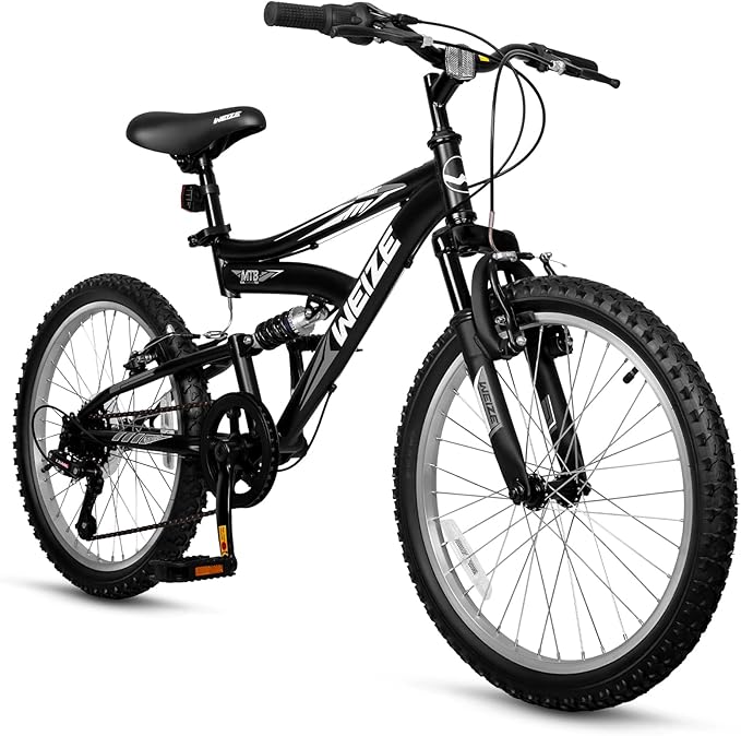 WEIZE Kids Mountain Bike, 20 inch Kids' Bicycles for 6-11 Years Old Boys Girls with Dual Full Suspension, 6 Speeds Drivetrain, High-Carbon Steel Frame, Ideal for Young Riders and Adventurers
