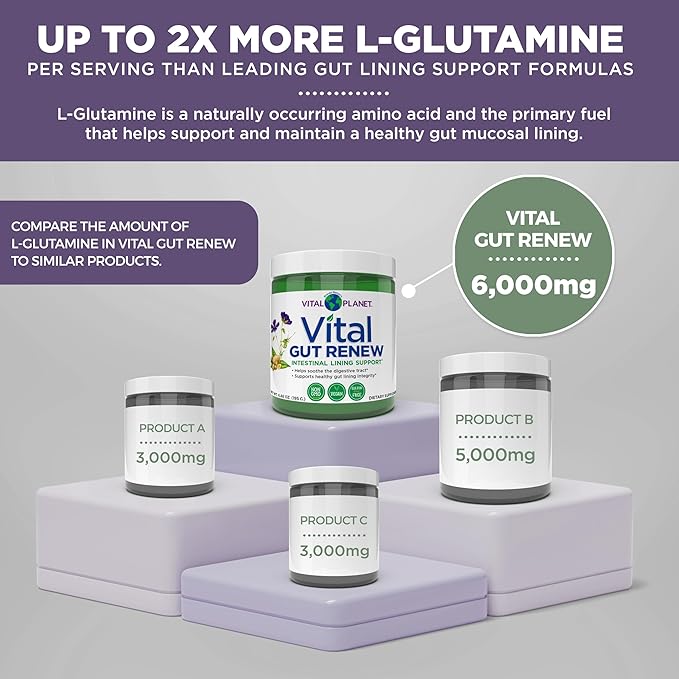 Vital Planet - Vital Gut Renew Powder Supplement for Leaky Gut Repair with L-Glutamine, Marshmallow and Ginger Root, DGL Licorice Root and Organic Aloe Vera, L Glutamine 6000mg 6.88 oz