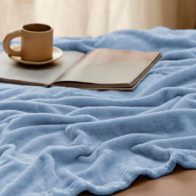 Bedsure Fleece Throw Blanket for Couch Light Blue - Lightweight Plush Fuzzy Cozy Soft Blankets and Throws for Sofa, 50x70 inches