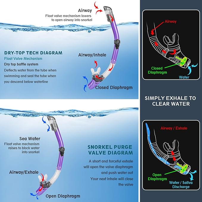 ZEEPORTE Mask Fin Snorkel Set, Travel Size Snorkeling Gear for Adults with Panoramic View Anti-Fog Mask, Trek Fins, Dry Top Snorkel and Gear Bag for Swimming Training, Snorkeling Kit Diving Packages