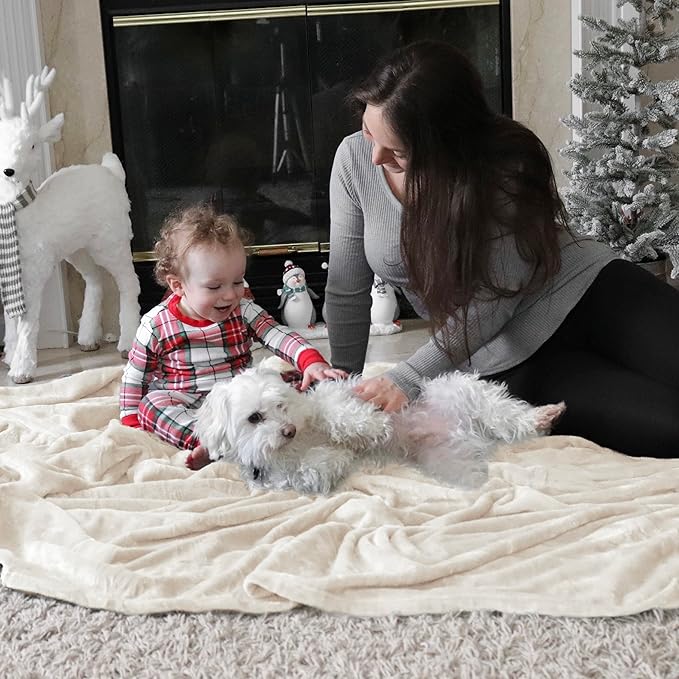 Bedsure Fleece Blanket Twin Size Cream - 300GSM Lightweight Plush Fuzzy Cozy Soft Warm Blanket for Bed, Sofa, Couch, Travel, Camping, 60x80 inches