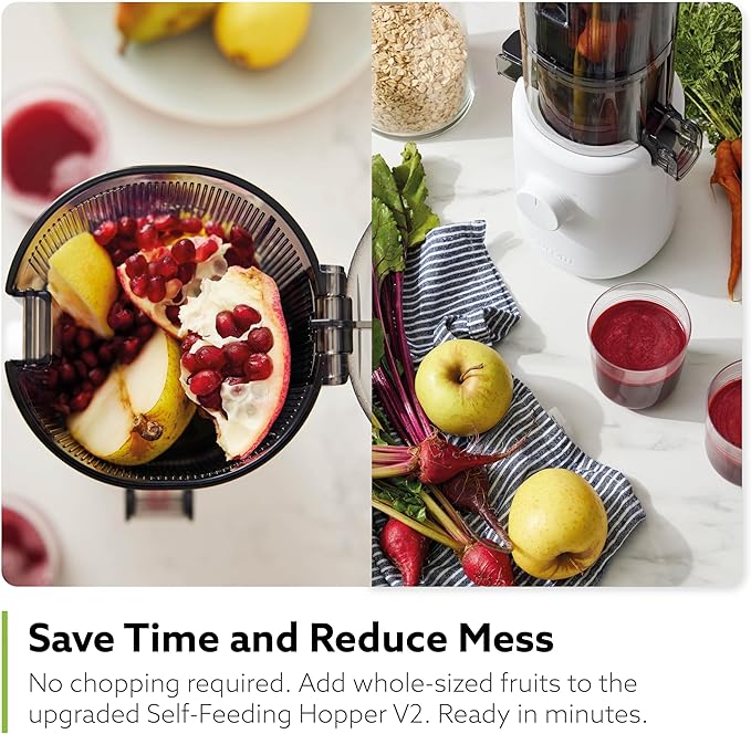 Hurom H310A Personal Self Feeding Slow Masticating Juicer (Matte Black)