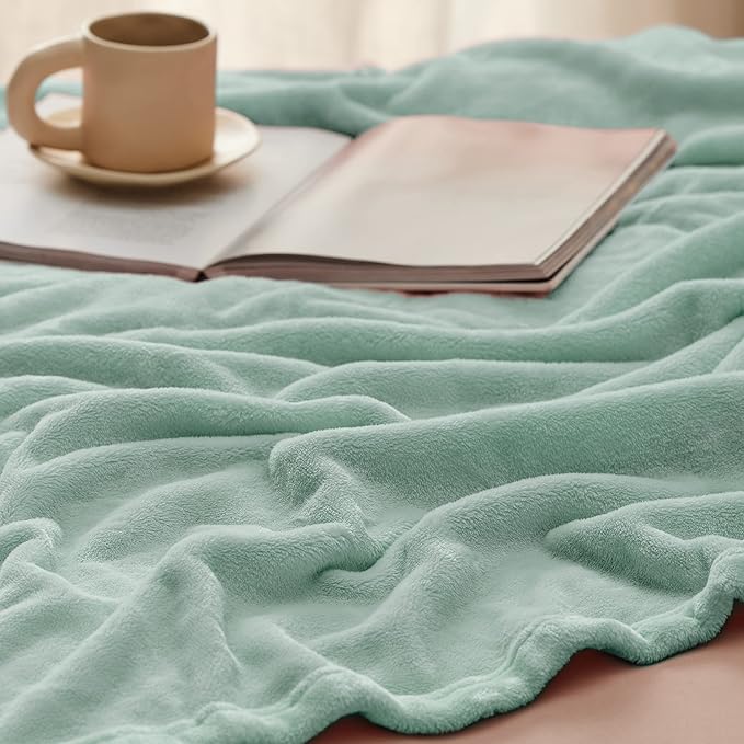 Bedsure Sage Green Fleece Blankets Queen Size - 280GSM Soft Lightweight Plush Cozy Blanket for Bed, Sofa, Couch, Travel, Camping