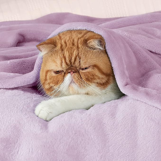 Bedsure Fleece Throw XL Blanket Light Purple - 300GSM Soft Lightweight Plush Cozy Blankets for Bed, Sofa, Couch, Travel, Camping, 50x70 inches