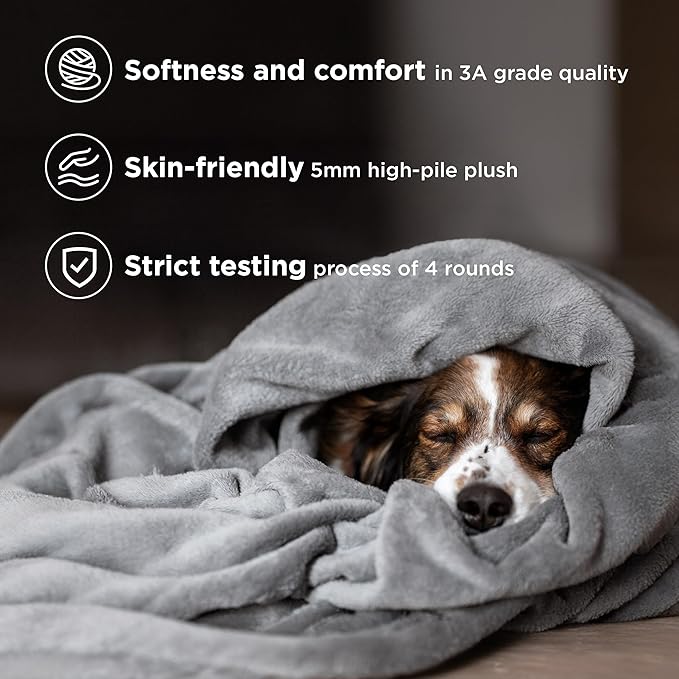 Bedsure Fleece Bed Blankets Queen Size Grey - Soft Lightweight Plush Fuzzy Cozy Luxury Fall Blanket Microfiber, Room Home Decor Gifts for Women and Men, 90x90 inches