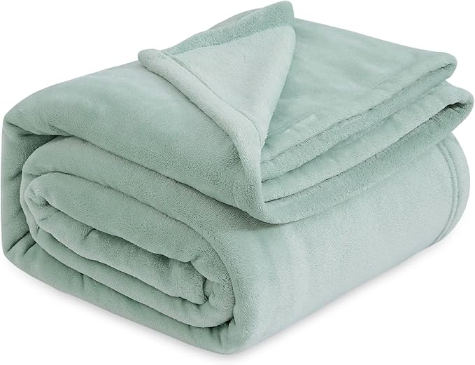 Bedsure Fleece Bed Blankets Full Size Sage Green - Soft Lightweight Plush Fuzzy Cozy Luxury Blanket Microfiber, 84x90 inches