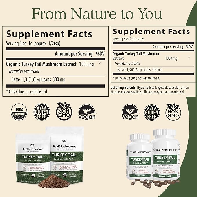 Real Mushrooms Turkey Tail Mushroom Powder – Organic Turkey Tail Extract from – for Wellness, Gut Harmony, & Energy Support – Vegan, Non-GMO, No Fillers – 100 Servings Functional Mushroom Supplement