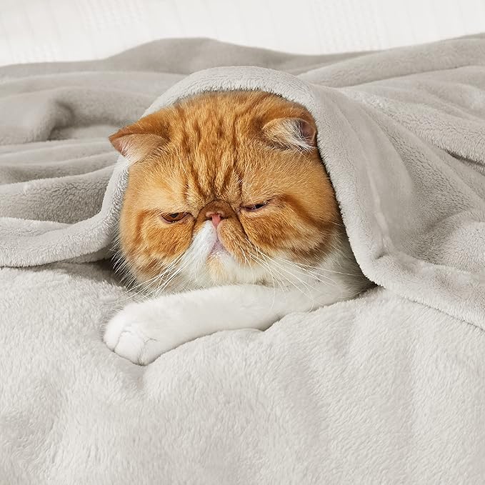 Bedsure Fleece Bed Blankets Full Size Linen - Soft Lightweight Plush Fuzzy Cozy Luxury Blanket Microfiber, 84x90 inches