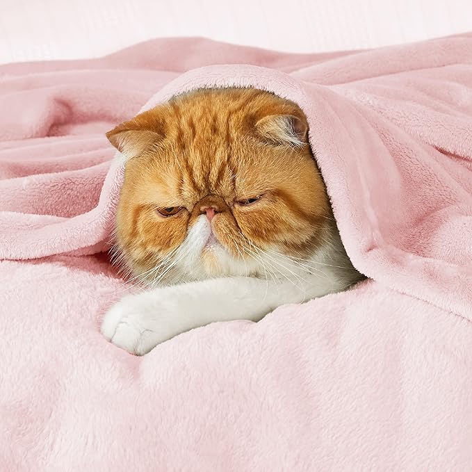 Bedsure Bedding Fleece Blanket for Girls and Boys - Soft Cozy Cute Small Throw Blankets for Travel, 43x55 Inches, Pink