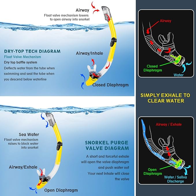 ZEEPORTE Mask Fin Snorkel Set, Travel Size Snorkeling Gear for Adults with Panoramic View Anti-Fog Mask, Trek Fins, Dry Top Snorkel and Gear Bag for Swimming Training, Snorkeling Kit Diving Packages