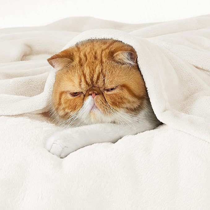 Bedsure Fleece Throw XL Blanket Cream - 300GSM Soft Lightweight Plush Cozy Blankets for Bed, Sofa, Couch, Travel, Camping, 50x70 inches