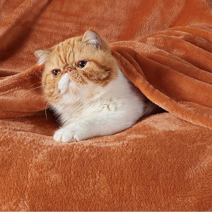 Bedsure Fleece Blankets Queen Size Mango - 280GSM Soft Lightweight Plush Cozy Blanket for Bed, Sofa, Couch, Travel, Camping