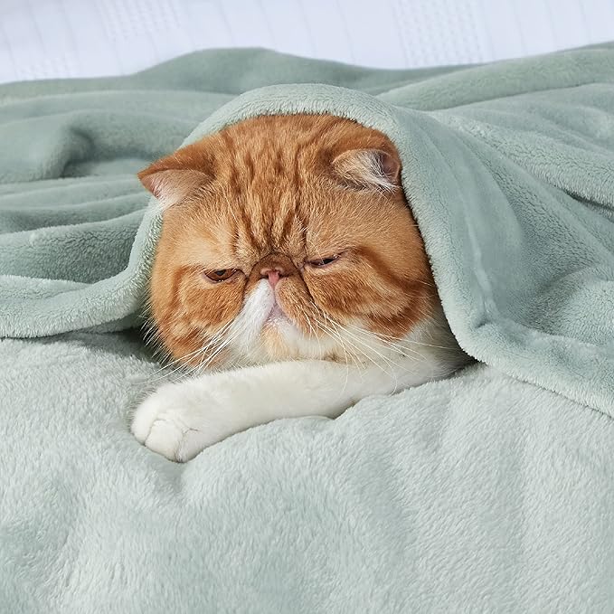 Bedsure Sage Green Fleece Blanket King Size - 280GSM Soft Lightweight Plush Cozy Blankets for Bed, Sofa, Couch, Travel, Camping